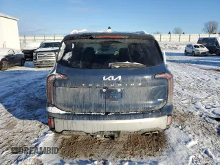 2024 Kia Telluride SX Prestige with VIN 5XYP5DGC6RG483038, listed as a Copart auction lot 87688885 with 16,260 mi miles and Salvage title. Bid and sale history available at DreamBid. Image 6.