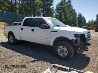 2011 Ford F-150 XLT with VIN 1FTFW1ET1BFB45761, listed as a Copart auction lot 64660595 with 240,317 mi miles and Salvage title. Bid and sale history available at DreamBid. Image 4.
