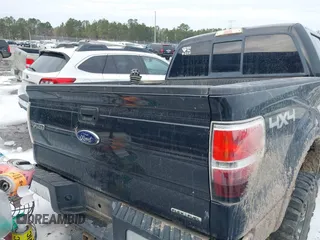 2010 Ford F-150 XL with VIN 1FTFW1EVXAFA74365, listed as a IAAI auction lot 41354493 with 196,559 mi miles. Bid and sale history available at carsss.com. Image 16.
