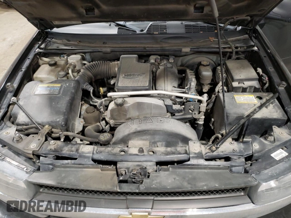 2006 Chevrolet TrailBlazer LS with VIN 1GNET16S666146766, listed as a Copart auction lot 46708035 with 138,111 mi miles and Salvage Title. Bid and sale history available at DreamBid. Image 12.