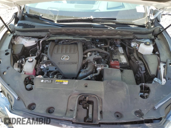 2023 Lexus RX 350 with VIN 2T2BAMCA8PC006271, listed as a Copart auction lot 50716235 with 24,899 mi miles and Salvage title. Bid and sale history available at DreamBid. Image 13.