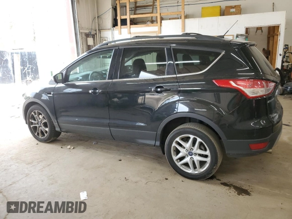 2013 Ford Escape SEL with VIN 1FMCU0HX1DUB83342, listed as a Copart auction lot 52482145 with 123,702 mi miles and Salvage Title. Bid and sale history available at carsss.com. Image 2.