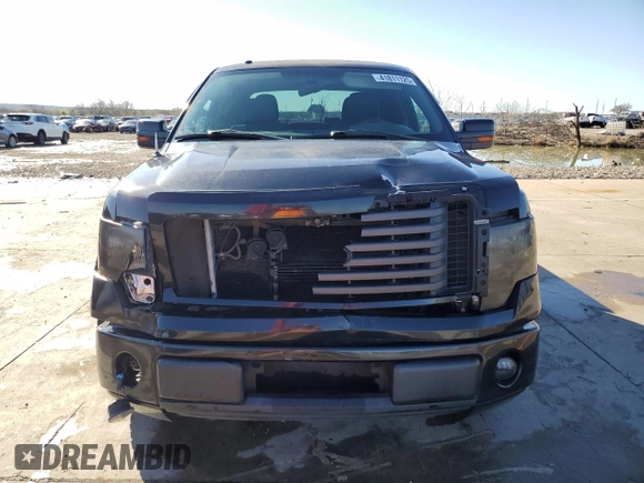 2010 Ford F-150 XL with VIN 1FTEW1C87AKB98609, listed as a Copart auction lot 41811125 with 159,392 mi miles and Clean Title. Bid and sale history available at DreamBid. Image 5.