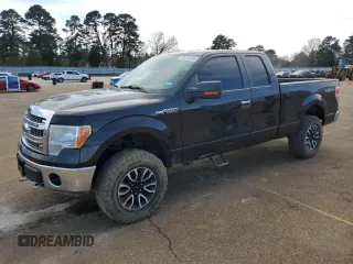 2013 Ford F-150 XL with VIN 1FTEX1EM6DFA45806, listed as a Copart auction lot 48719705 with 246,161 mi miles and Salvage Title. Bid and sale history available at carsss.com. Image 1.