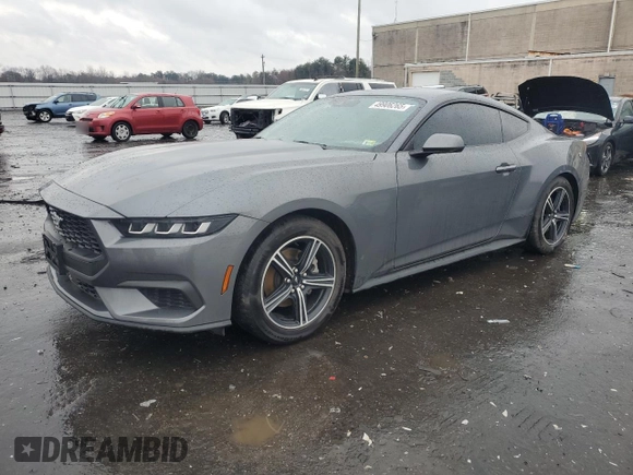 2024 Ford Mustang EcoBoost with VIN 1FA6P8TH8R5119281, listed as a Copart auction lot 49906265 with 8,024 mi miles and Salvage Title. Bid and sale history available at carsss.com. Image 1.