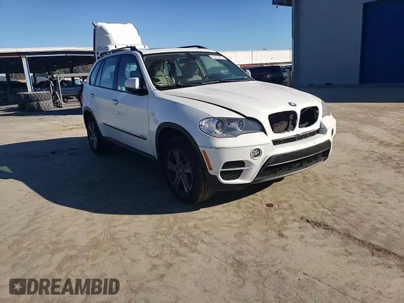 2013 BMW X5 xDrive35i with VIN 5UXZV4C55D0G50490, listed as a Copart auction lot 49876325 with 108,815 mi miles and Salvage Title. Bid and sale history available at carsss.com. Image 10.