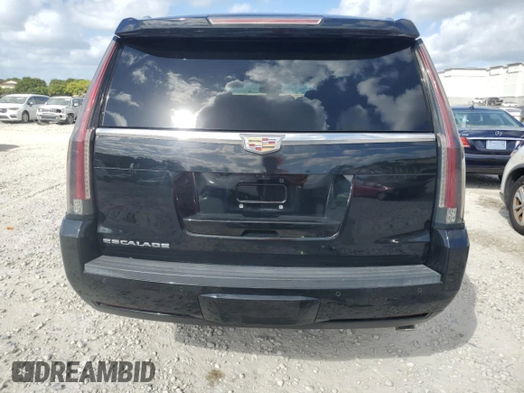 2017 Cadillac Escalade Premium Luxury with VIN 1GYS3CKJ4HR174758, listed as a Copart auction lot 80889314 with 75,289 mi miles and Non repairable. Bid and sale history available at DreamBid. Image 6.