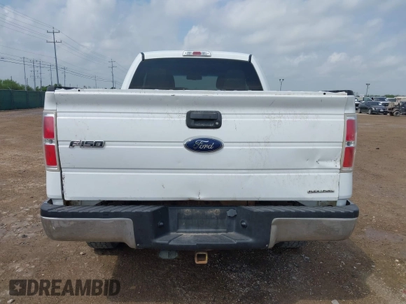 2010 Ford F-150 XL with VIN 1FTFX1EV3AFC04175, listed as a IAAI auction lot 42400826 with 215,045 mi miles and . Bid and sale history available at DreamBid. Image 16.