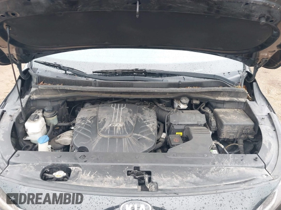 2017 Kia Sedona LX with VIN KNDMB5C13H6313176, listed as a IAAI auction lot 41905086 with 229,950 mi miles and . Bid and sale history available at DreamBid. Image 10.