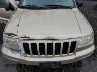 1999 Jeep Grand Cherokee Limited with VIN 1J4GW68N2XC581746, listed as a Copart auction lot 45413775 with 284,226 mi miles and Salvage Title. Bid and sale history available at carsss.com. Image 12.
