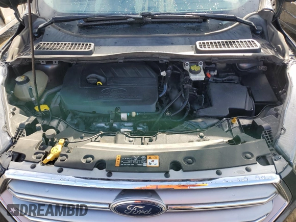 2017 Ford Escape SE with VIN 1FMCU0GDXHUE10346, listed as a Copart auction lot 43651645 with 192,805 mi miles and Clean Title. Bid and sale history available at carsss.com. Image 12.