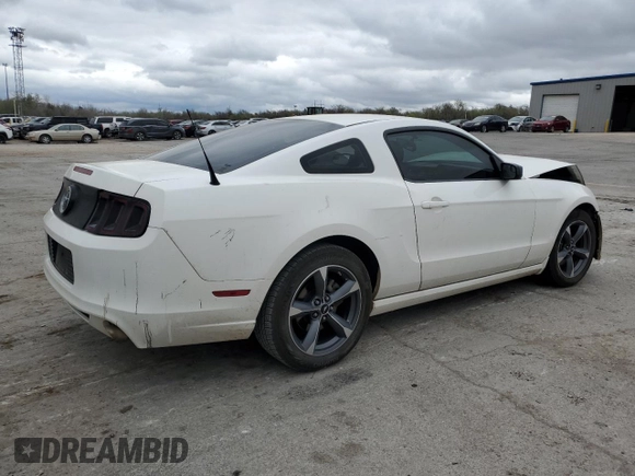 2013 Ford Mustang V6 with VIN 1ZVBP8AM4D5262212, listed as a Copart auction lot 51121685 with Not Provided miles and Salvage Title. Bid and sale history available at carsss.com. Image 3.