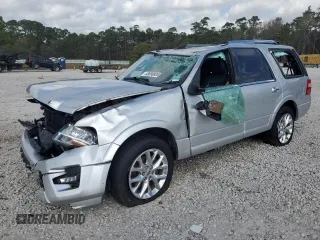 2016 Ford Expedition Limited with VIN 1FMJU1KT1GEF07309, listed as a Copart auction lot 48696885 with 134,427 mi miles and Non repairable. Bid and sale history available at DreamBid. Image 1.