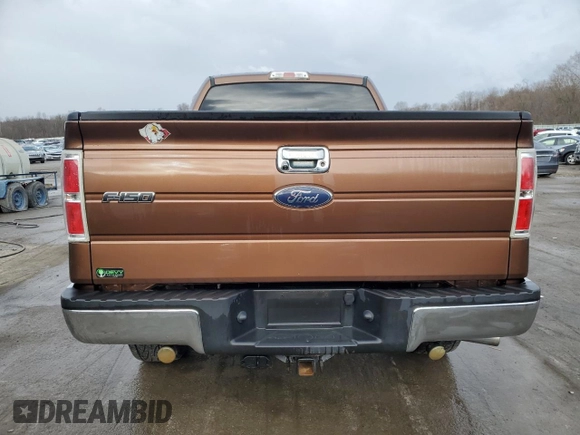 2011 Ford F-150 XL with VIN 1FTFX1ET7BKE14723, listed as a Copart auction lot 50583885 with 118,935 mi miles and Salvage Title. Bid and sale history available at DreamBid. Image 6.