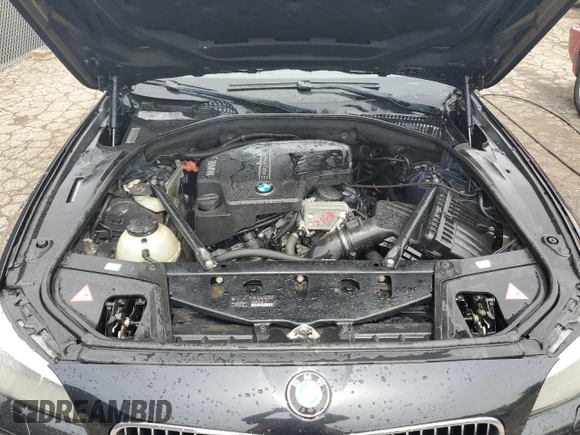 2013 BMW 5 Series 528i xDrive with VIN WBAXH5C59DDW15444, listed as a Copart auction lot 61769475 with 114,901 mi miles and Clean title. Bid and sale history available at DreamBid. Image 11.