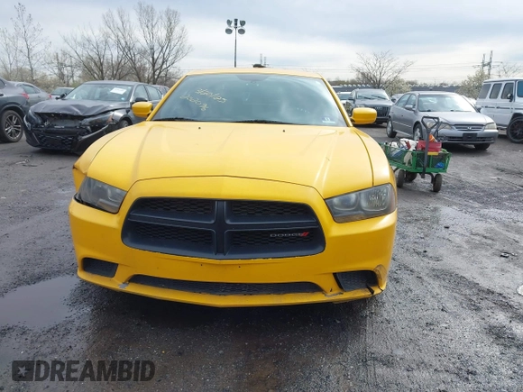 2014 Dodge Charger Police with VIN 2C3CDXAT9EH350916, listed as a IAAI auction lot 42030015 with 222,044 mi miles and . Bid and sale history available at DreamBid. Image 12.