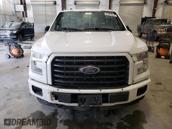 2017 Ford F-150 XL with VIN 1FTFW1EF1HKC94021, listed as a Copart auction lot 81261004 with 172,909 mi miles and Salvage Title. Bid and sale history available at carsss.com. Image 5.