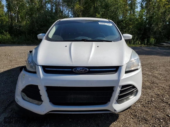 2013 Ford Escape SE with VIN 1FMCU0GX9DUD26281, listed as a Copart auction lot 69581154 with 192,765 mi miles and Clean Title. Bid and sale history available at carsss.com. Image 5.