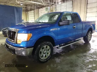 2010 Ford F-150 XL with VIN 1FTEX1E81AFC65403, listed as a Copart auction lot 46464375 with 205,244 mi miles and Clean Title. Bid and sale history available at carsss.com. Image 1.