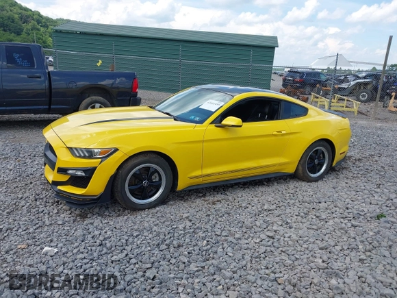 2017 Ford Mustang EcoBoost with VIN 1FA6P8TH6H5326976, listed as a IAAI auction lot 42602495 with Not provided miles and . Bid and sale history available at DreamBid. Image 14.