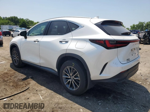 2024 Lexus NX 350 Premium with VIN 2T2GGCEZ0RC056702, listed as a Copart auction lot 62602755 with 13,317 mi miles and Salvage title. Bid and sale history available at DreamBid. Image 2.