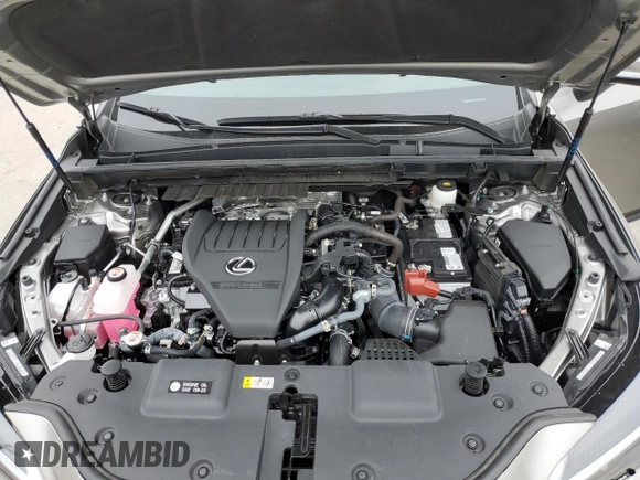 2025 Lexus NX 350 Premium with VIN 2T2GGCEZ8SC060289, listed as a Copart auction lot 58434995 with 13,767 mi miles and Salvage title. Bid and sale history available at DreamBid. Image 12.