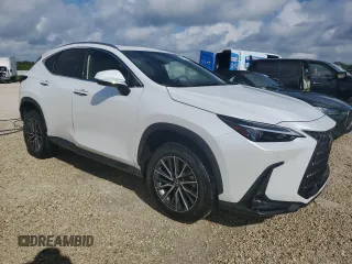 2023 Lexus NX with VIN JTJGDCAZ2P5009827, listed as a Copart auction lot 73701374 with Not Provided miles and Non Repairable. Bid and sale history available at carsss.com. Image 4.