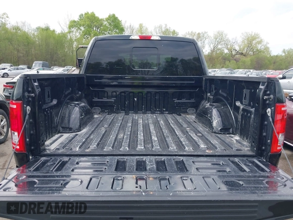 2017 Ford F-150 XL with VIN 1FTEW1EF9HKC54488, listed as a IAAI auction lot 42010877 with 186,860 mi miles. Bid and sale history available at carsss.com. Image 17.