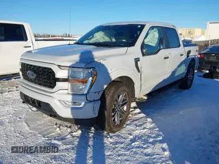 2021 Ford F-150 XL with VIN 1FTEW1EP2MKD11617, listed as a IAAI auction lot 41659466 with 54,000 mi miles and . Bid and sale history available at DreamBid. Image 17.