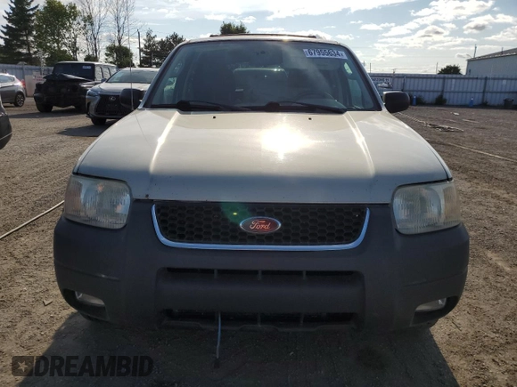 2004 Ford Escape XLT with VIN 1FMYU93194KA68528, listed as a Copart auction lot 67955634 with 260,091 mi miles and Clean Title. Bid and sale history available at carsss.com. Image 5.