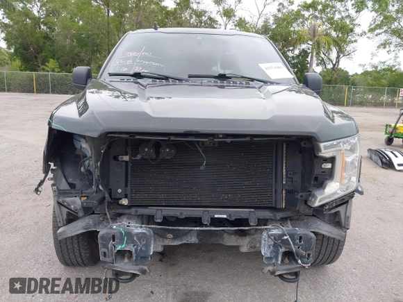 2019 Ford F-150 XL with VIN 1FTFW1E56KFB72035, listed as a IAAI auction lot 41974489 with 116,136 mi miles. Bid and sale history available at carsss.com. Image 13.