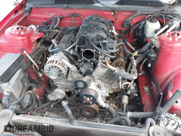 2006 Ford Mustang Standard with VIN 1ZVHT80N165168100, listed as a IAAI auction lot 42725989 with Not provided miles and . Bid and sale history available at DreamBid. Image 10.