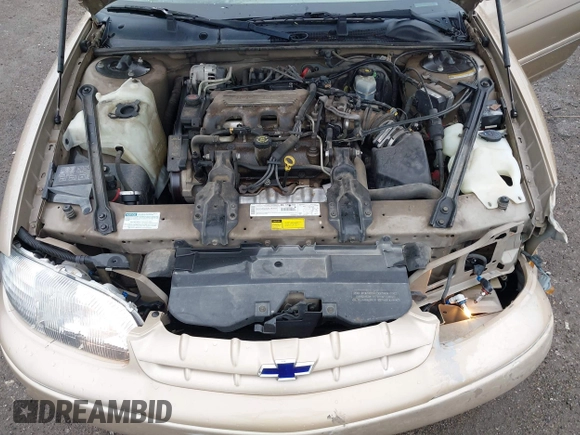 1999 Chevrolet Lumina with VIN 2G1WL52M6X9250222, listed as a IAAI auction lot 41951793 with 119,063 mi miles and . Bid and sale history available at DreamBid. Image 10.