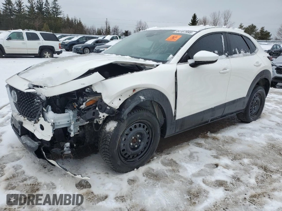 2021 Mazda CX-30 Preferred with VIN 3MVDMBCL2MM244256, listed as a Copart auction lot 44187995 with Not Provided miles and Salvage Title. Bid and sale history available at DreamBid. Image 1.