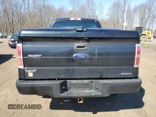 2014 Ford F-150 XL with VIN 1FTFX1EF1EFA81359, listed as a Copart auction lot 53727195 with 199,059 mi miles and Salvage Title. Bid and sale history available at DreamBid. Image 6.