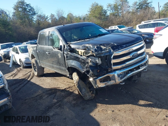 2015 Ford F-150 XLT z VIN 1FTEW1EF3FKE01126, wystawiony jako IAAI lot #41487091 z przebiegiem 134 010 mil mil oraz . Historia ofert i sprzedaży dostępna na DreamBid. Obrazek 1.
