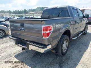 2010 Ford F-150 XL with VIN 1FTEW1E87AFD69672, listed as a IAAI auction lot 42590920 with 117,126 mi miles and . Bid and sale history available at DreamBid. Image 4.