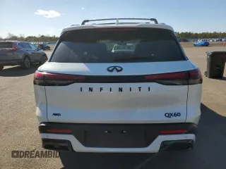 2025 Infiniti QX60 Luxe with VIN 5N1AL1FS5SC338274, listed as a Copart auction lot 48479865 with 1,002 mi miles and Salvage title. Bid and sale history available at DreamBid. Image 6.