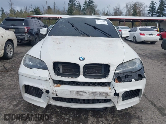 2010 BMW X6 M with VIN 5YMGZ0C52ALK13325, listed as a IAAI auction lot 40819581 with 134,282 mi miles. Bid and sale history available at carsss.com. Image 12.