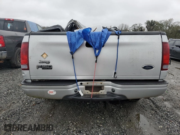 2003 Ford F-150 XL with VIN 1FTRF172X3NB77391, listed as a Copart auction lot 80657174 with Not Provided miles and Salvage Title. Bid and sale history available at DreamBid. Image 6.