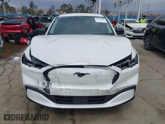 2024 Ford Mustang Mach-E Premium with VIN 3FMTK3R48RMA01496, listed as a IAAI auction lot 41818286 with 16,243 mi miles and . Bid and sale history available at DreamBid. Image 12.