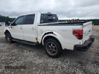 2010 Ford F-150 XL with VIN 1FTFW1EV3AFB31716, listed as a Copart auction lot 61506375 with 286,144 mi miles and Clean title. Bid and sale history available at DreamBid. Image 2.