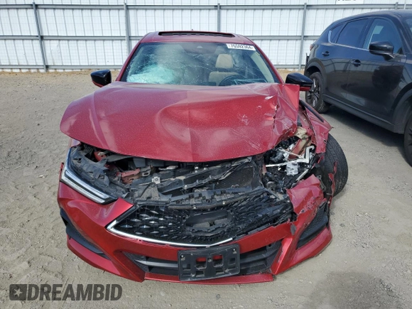 2021 Acura TLX w/Advance Package with VIN 19UUB5F61MA009716, listed as a Copart auction lot 76592364 with 0 mi miles and Salvage Title. Bid and sale history available at carsss.com. Image 5.
