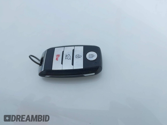 2019 Kia Sorento EX V6 with VIN 5XYPHDA5XKG507641, listed as a IAAI auction lot 41655933 with 171,136 mi miles. Bid and sale history available at carsss.com. Image 11.