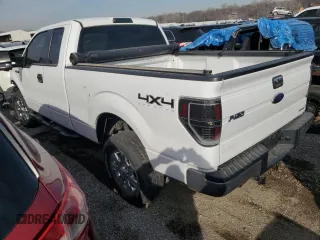 2010 Ford F-150 XL с VIN 1FTEX1EW6AKE77767, выставлен на аукционе Copart как лот 38702614 с пробегом 225 004 миль миль и Списание • Salvage title. История ставок и продаж доступна на DreamBid. Изображение 2.