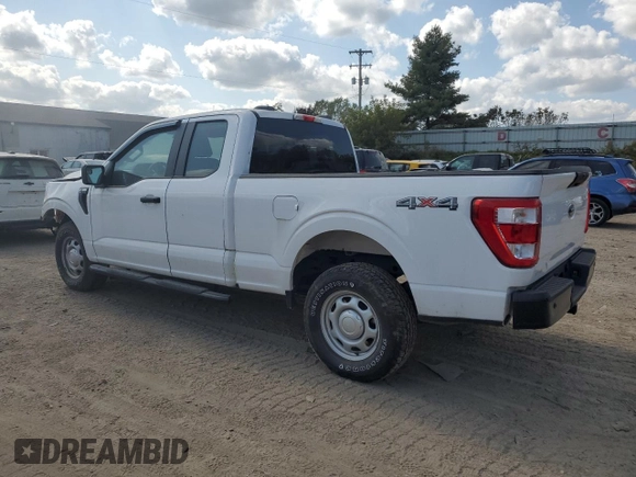 2021 Ford F-150 XL with VIN 1FTEX1EB1MKD60924, listed as a Copart auction lot 71455334 with 13,016 mi miles and Clean title. Bid and sale history available at DreamBid. Image 2.
