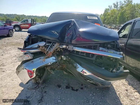 1999 Chevrolet Silverado 1500 LS with VIN 1GCEK19T4XZ107402, listed as a Copart auction lot 69690314 with 0 mi miles and Salvage Title. Bid and sale history available at carsss.com. Image 11.
