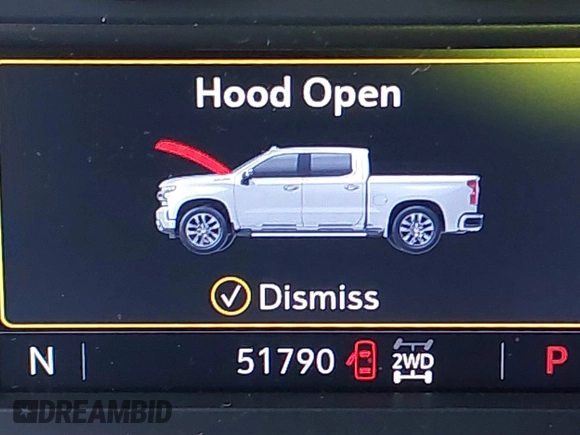 2021 Chevrolet Silverado 1500 LT Trail Boss with VIN 1GCPYFEL0MZ287029, listed as a IAAI auction lot 40706839 with 51,790 mi miles and . Bid and sale history available at DreamBid. Image 15.