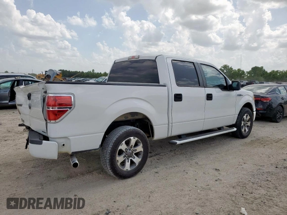 2011 Ford F-150 XL with VIN 1FTEW1CM9BKD99944, listed as a Copart auction lot 64069465 with 288,402 mi miles and Salvage title. Bid and sale history available at DreamBid. Image 3.