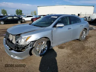 2010 Nissan Maxima SV with VIN 1N4AA5AP7AC871283, listed as a Copart auction lot 66394785 with 295,925 mi miles and Salvage title. Bid and sale history available at DreamBid. Image 1.
